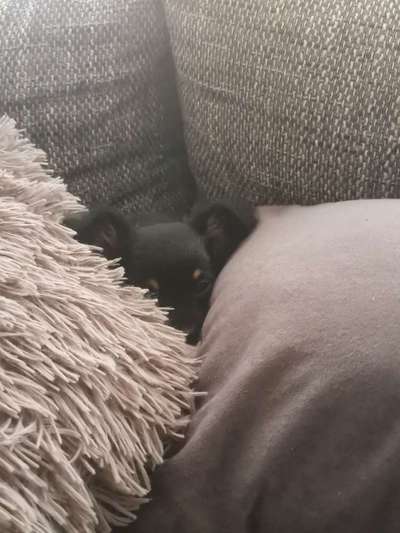 Foto Challenge 3-Beitrag-Bild