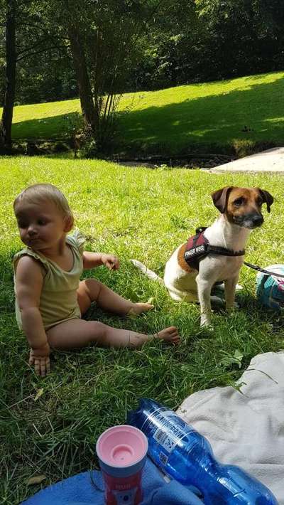 Dein Hund im Dogorama-Kalender 2021-Beitrag-Bild