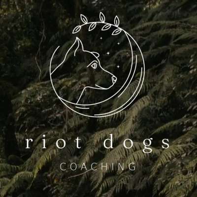 Hundeschulen-riot dogs coaching-Bild