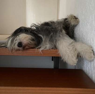 Foto Challenge Nr. 134-Beitrag-Bild