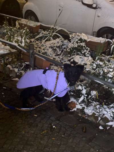 Leuchtie bei Dunkelheit bitte !-Beitrag-Bild