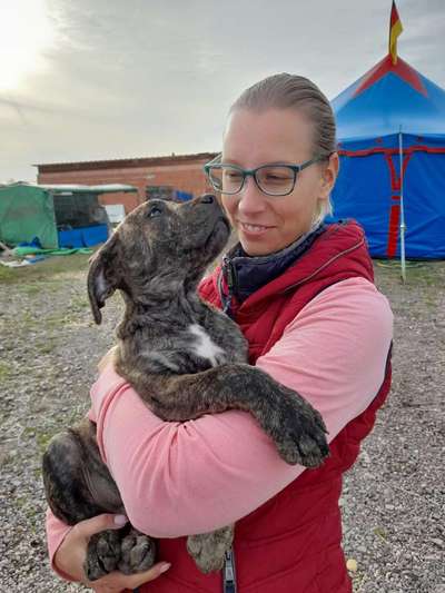 Erstes Bild-Beitrag-Bild