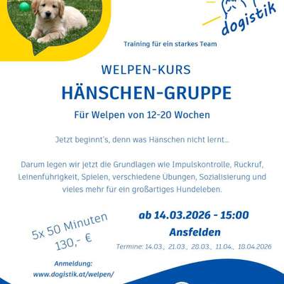 Giftköder-Welpenkurs-Bild