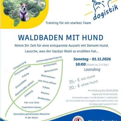 Giftköder-Waldbaden mit Hund-Bild