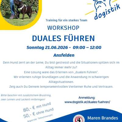 Giftköder-Workshop - Duales Führen-Bild