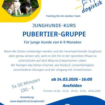 %{de_profession_title}-Junghundekurs-Bild