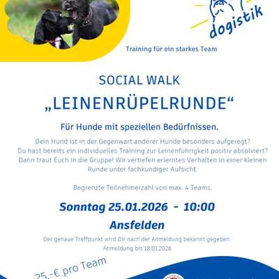 Giftköder-Social Walk-Bild