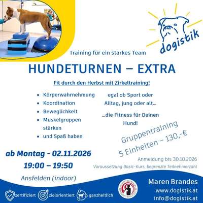 %{de_profession_title} Hundeturnen - Bewegungstraining %{location} – Dogorama