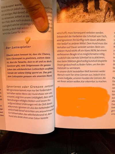 Gewaltfrei erziehen-Beitrag-Bild