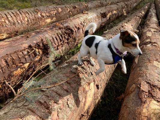 Foto Challenge Nr. 79-Beitrag-Bild