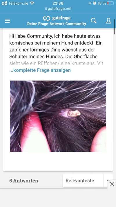 Was ist das ???-Beitrag-Bild