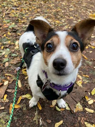 Fotochallange Nr. 57     PORTRÄT.   Beendet!!!!!!!!-Beitrag-Bild