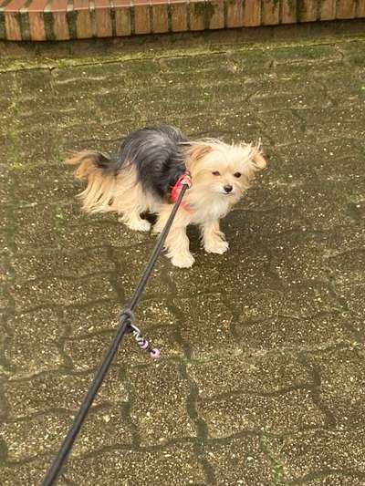 Max zickt rum-Beitrag-Bild