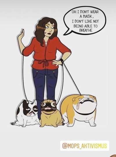 Brachycephale Hunderassen-Beitrag-Bild