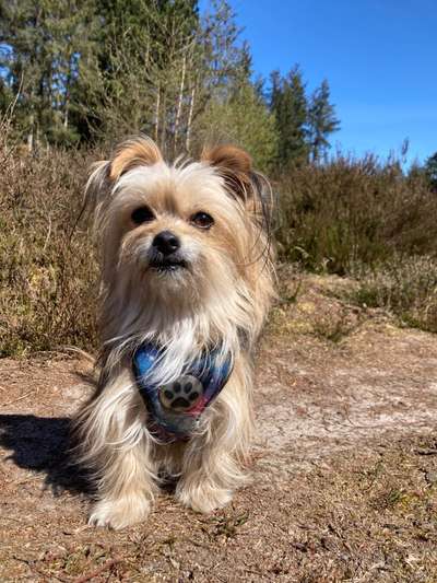 Foto Challenge Nr. 79-Beitrag-Bild