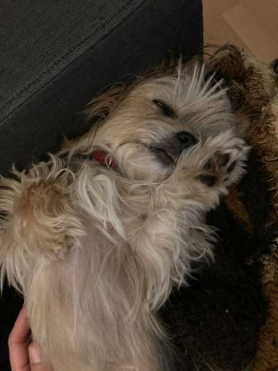 Schlafzeit!💖-Beitrag-Bild