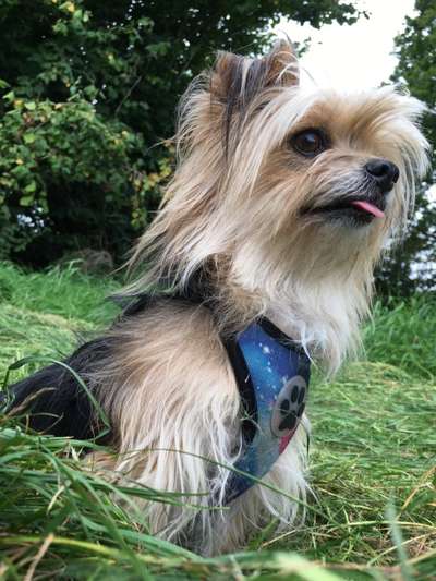 Fotochallange Nr. 57     PORTRÄT.   Beendet!!!!!!!!-Beitrag-Bild