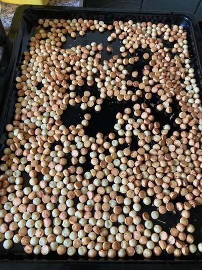 Heute gibt es.....der "ich mach die Leckerlis-Selber-Thread"-Beitrag-Bild