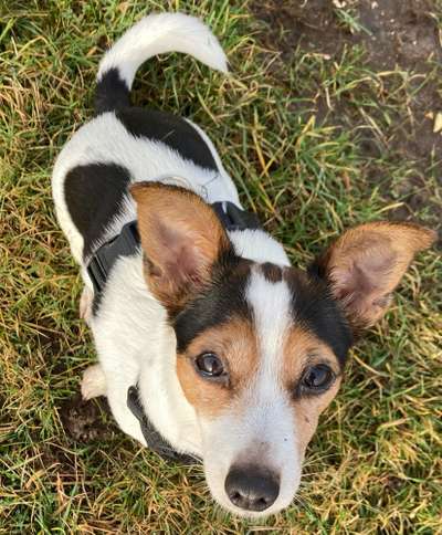 Von oben-Beitrag-Bild