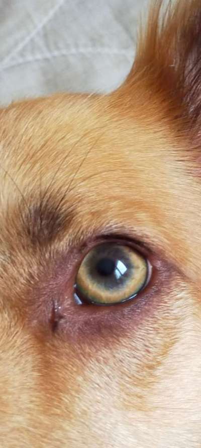 Blick fürs Detail!-Beitrag-Bild