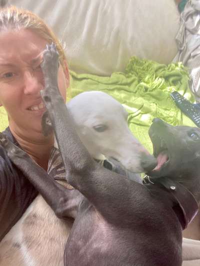 Lustigsten Grimassen von euren Hunden-Beitrag-Bild