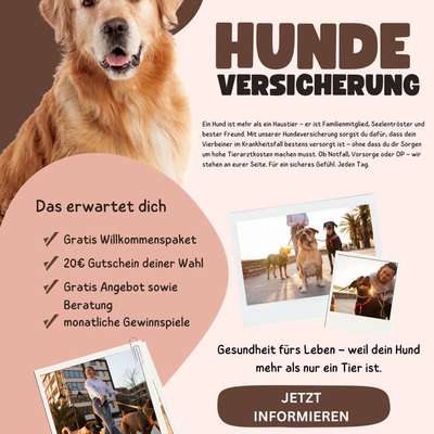 Hundekrankenversicherung-Beitrag-Bild