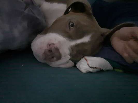 Fotochallange Nr. 57     PORTRÄT.   Beendet!!!!!!!!-Beitrag-Bild