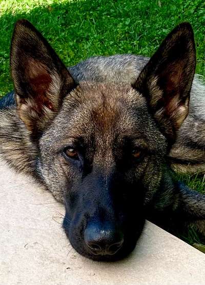 Fotochallange Nr. 57     PORTRÄT.   Beendet!!!!!!!!-Beitrag-Bild