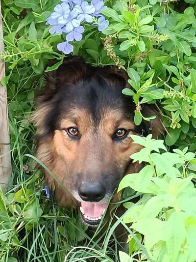 Farben Fotochallenge Thema ,,Grün"-Beitrag-Bild