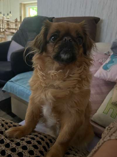 Lieblingsbild-Beitrag-Bild