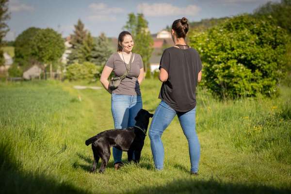 Giftköder-Einzeltraining-Bild