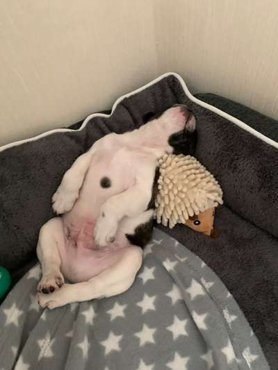 CHALLENGE NR. 34 - Liege-/Schlafpositionen-Beitrag-Bild