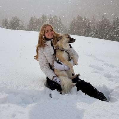 Hundetreffen-Hundekontakt üben / Social Walks