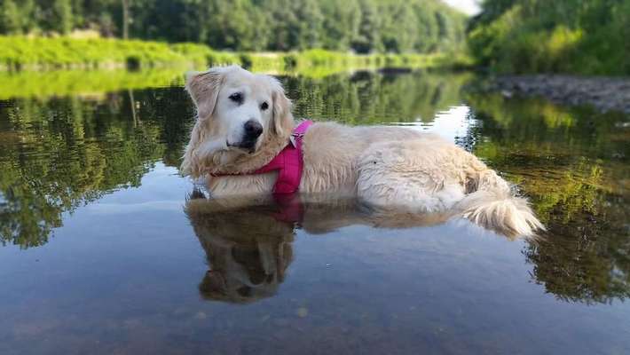 Foto Challenge - BEENDET - bitte aktuelle Challenge nutzen-Beitrag-Bild