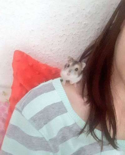 Unsere Sternchen ******-Beitrag-Bild