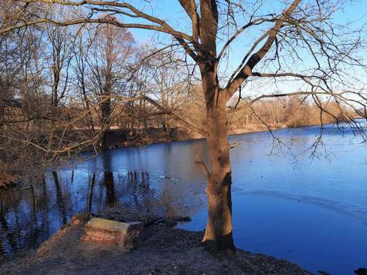 Hundeauslaufgebiet-Stich-Kanal Büchen-Bild