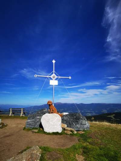 Dogorama Photo Challenge - Gassipause-Beitrag-Bild