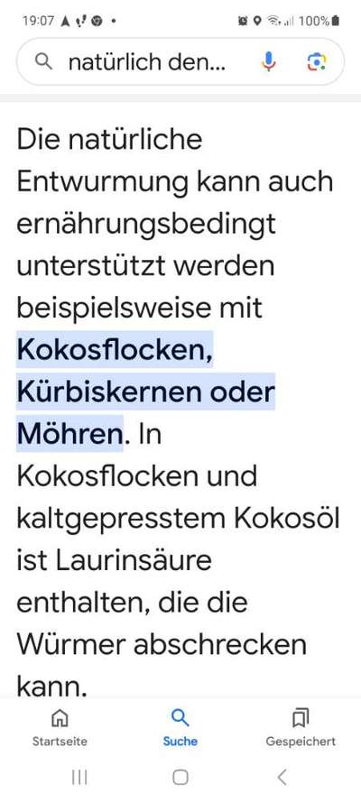 Wird zu selten entwurmt? Wurmbefall bei Hunden in Deutschland-Beitrag-Bild