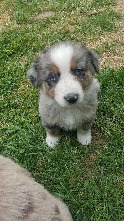 Sie werden so schnell erwachsen ...-Beitrag-Bild