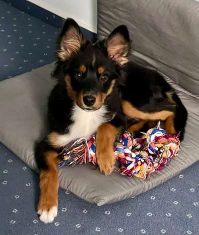 Zeigt her...-Beitrag-Bild