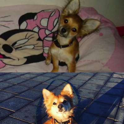 Vorher.... Nachher-Beitrag-Bild