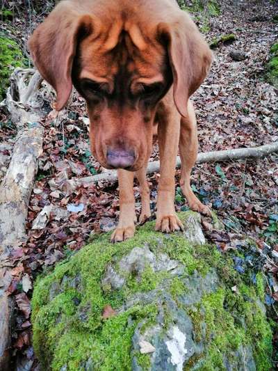 Lieblings Schnappschuss?-Beitrag-Bild