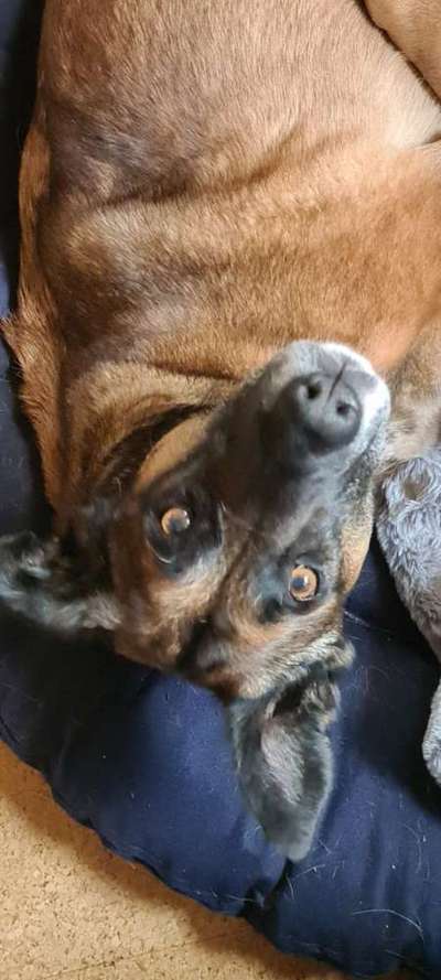 Von oben-Beitrag-Bild