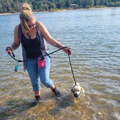 Hundetreffen-Welpen / Junghund kennenlern und spielen-Bild