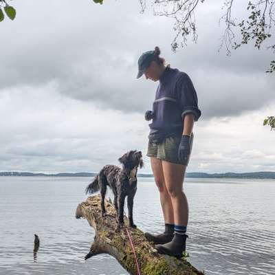 Hundetreffen-Netter Hundekontakt/Social Walk gesucht-Bild