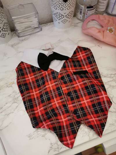 Ausstattung Welpe-Beitrag-Bild