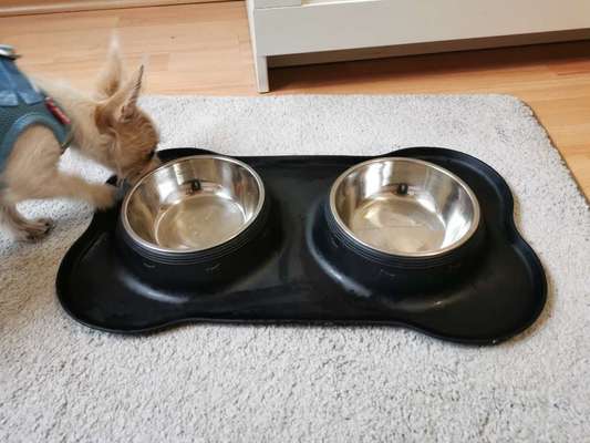 Ausstattung Welpe-Beitrag-Bild