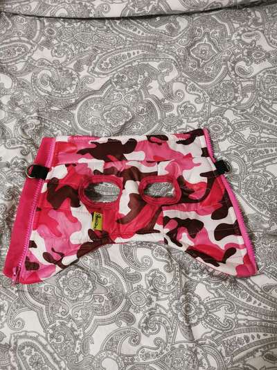 Ausstattung Welpe-Beitrag-Bild