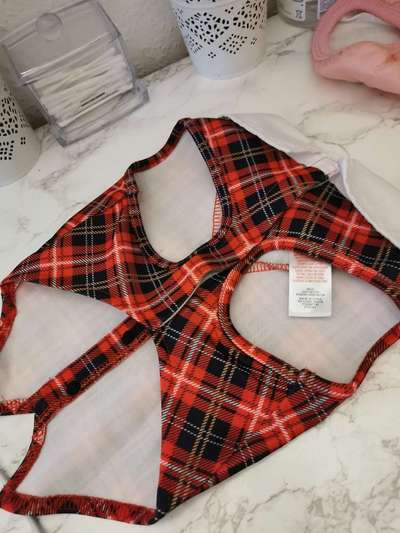 Ausstattung Welpe-Beitrag-Bild