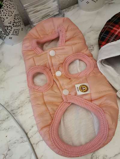 Ausstattung Welpe-Beitrag-Bild